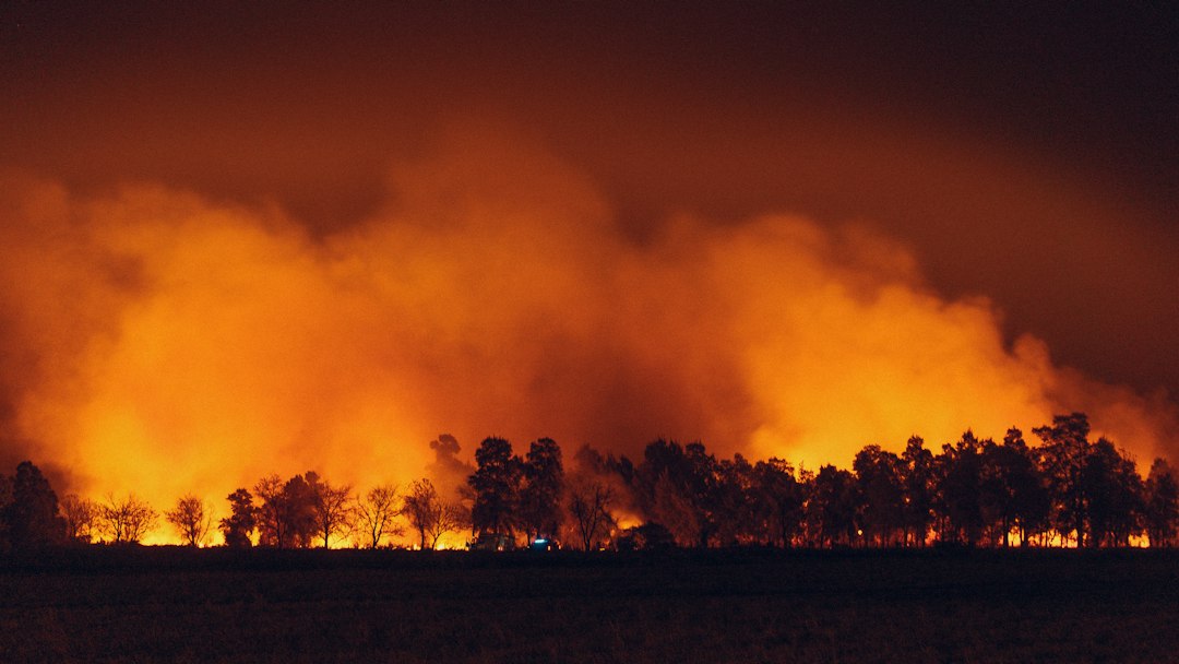 صورة تعبيرية لحريق غابوي خارج المغرب، تصوير Fachy Marín على Unsplash